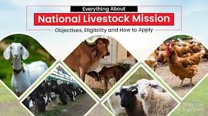 National Livestock Mission